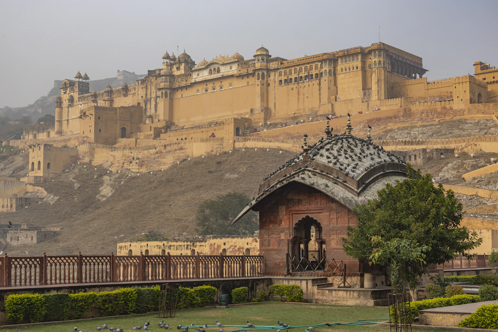 Fort above a lake at daylight (Amer, India).