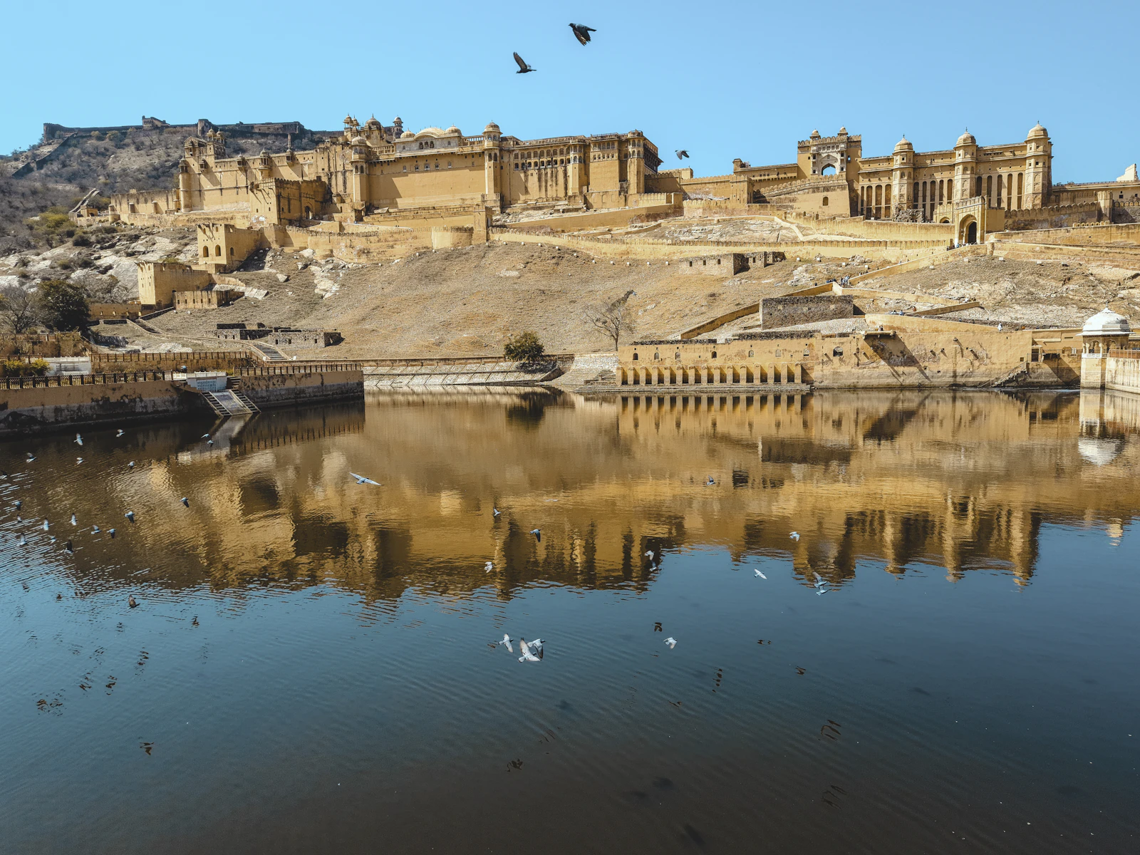 Fort reflected in still water (Amer, India).
